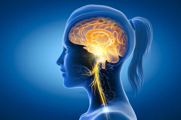Best Vagus Nerve Stimulation Devices for Enhanced Well-being