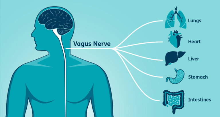 Vagus Nerve Massage Points 